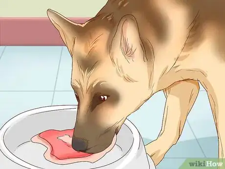Image titled Tell if a Dog Is Pregnant Step 7