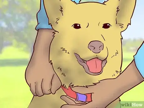 Image titled Choose a GPS Dog Collar Step 6