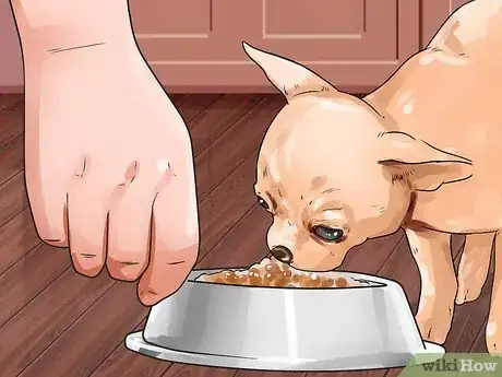 Image titled Tell if a Dog Is Getting Food Aggression Step 6