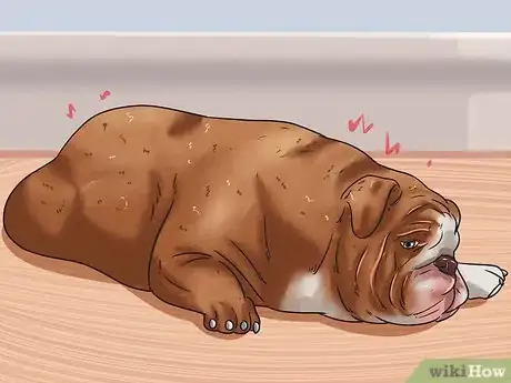 Image titled Calculate Dog Years Step 5