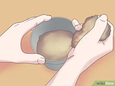 Image titled Grow Ferns Step 2