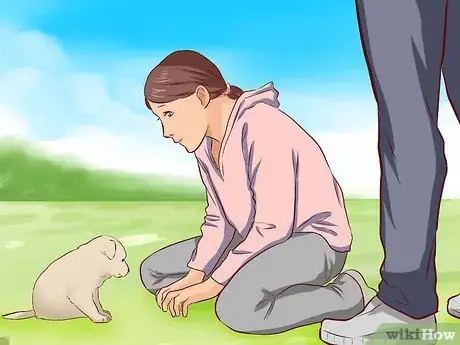 Image titled Train a Puppy Not to Bite Step 4