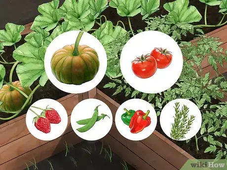 Image titled Reduce Your Carbon Footprint in the Garden Step 1