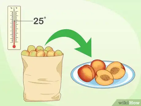 Image titled Store Nectarines Step 1