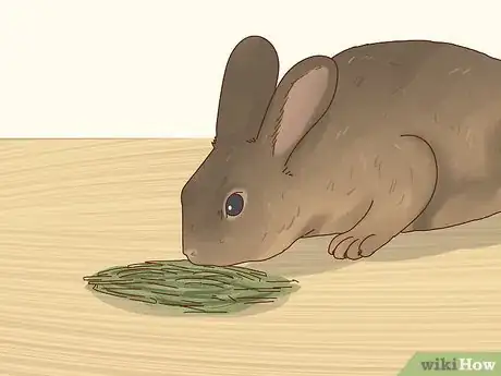 Image titled Care for a Baby Wild Rabbit Step 18