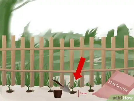 Image titled Train Clematis Step 8