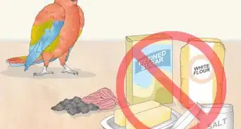 Stop a Macaw from Feather Picking or Chewing