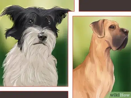 Image titled Find Veterinary Insurance for Older Dogs Step 3