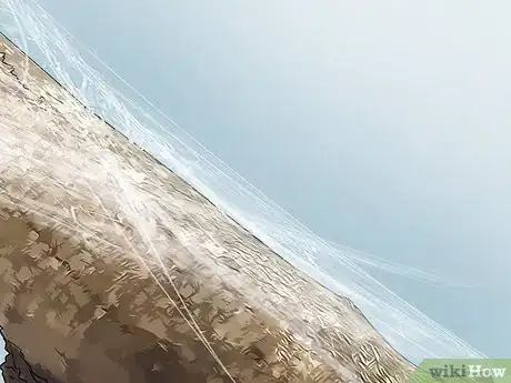 Image titled Identify a Portia Spider Step 9