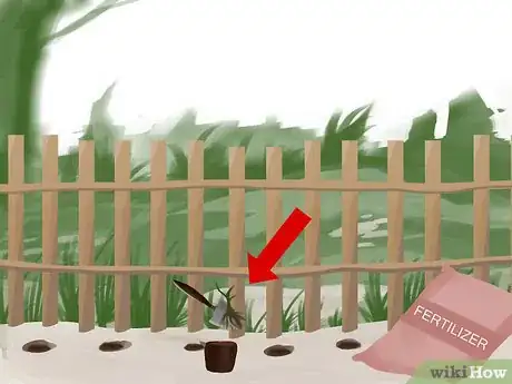 Image titled Train Clematis Step 7