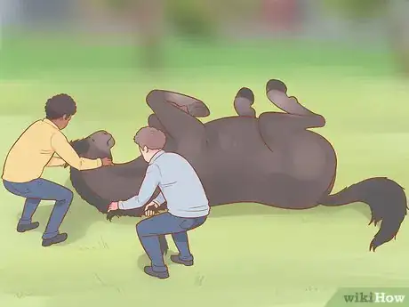 Image titled Uncast a Horse Step 5