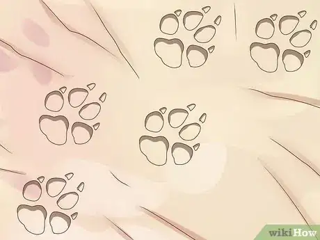 Image titled Identify Animal Tracks Step 4