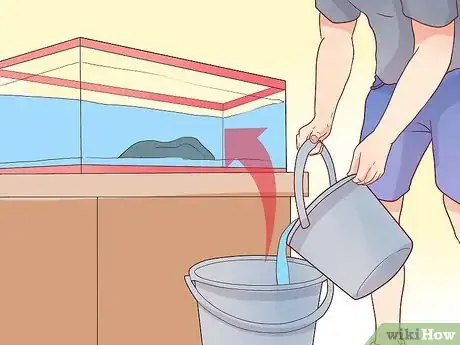 Image titled Make Your Fish Live Longer Step 17