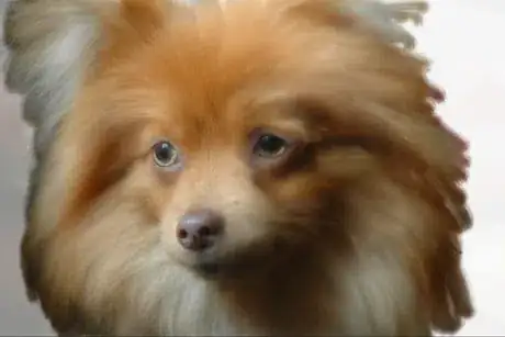 Image titled Split screen image versus painting.png