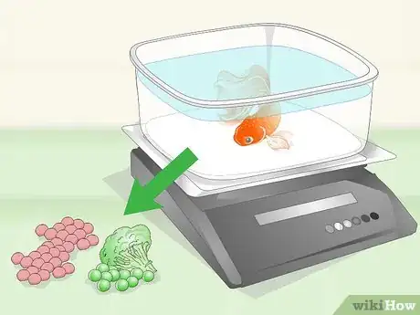Image titled Care for Fancy Goldfish Step 20