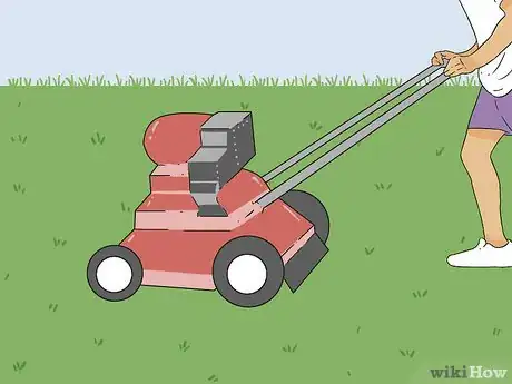 Image titled Bring Back Dead Grass Step 6