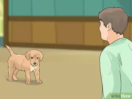 Image titled Introduce a New Puppy Step 13
