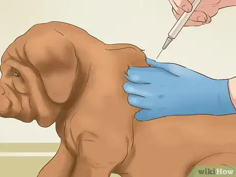 Image titled Provide Preventive Veterinary Care for Your Dog Step 2