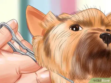 Image titled Groom a Thick Furred Dog Step 9