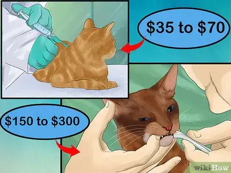 Image titled Budget for a New Cat Step 5