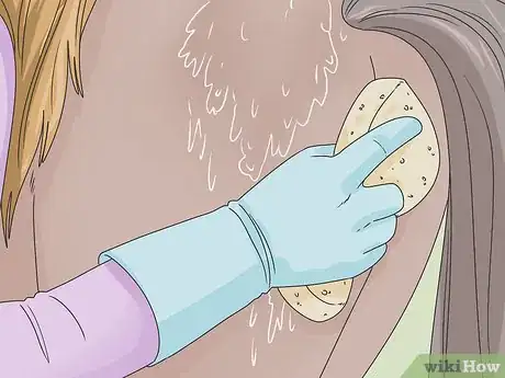 Image titled Clean a Horse Step 15