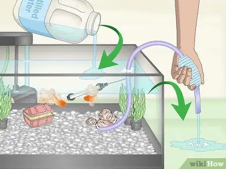 Image titled Care for Fancy Goldfish Step 25