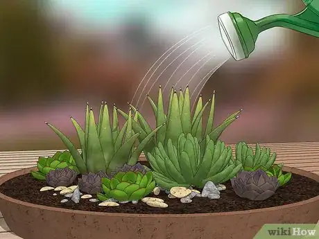Image titled Create a Dish Garden Step 12