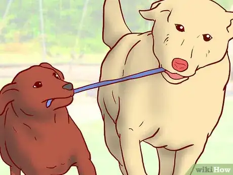 Image titled Maintain Social Skills in Older Dogs Step 3