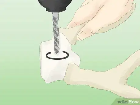 Image titled Mount Antlers Step 10