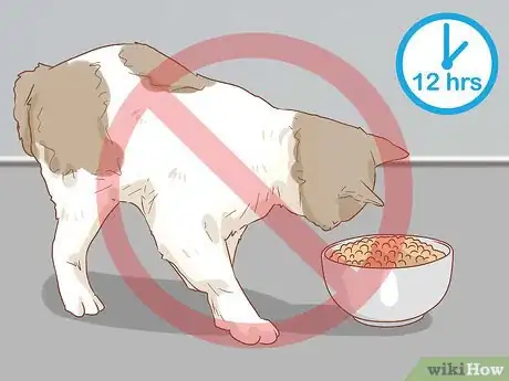 Image titled Treat Cleft Palate in Cats Step 10