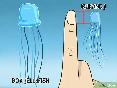 Image titled Identify Dangerous Marine Animals in Australian Waters Step 2