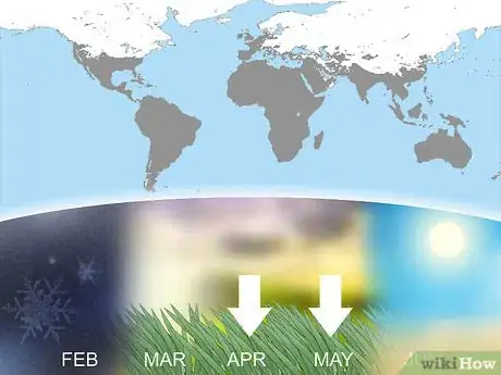 Image titled Grow Wildflowers Step 2