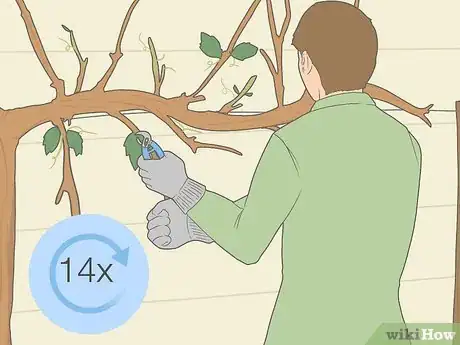 Image titled Prune Grape Vines for Winter Step 11