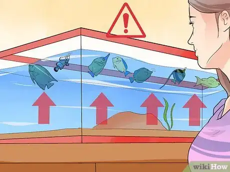 Image titled Make Your Fish Live Longer Step 18