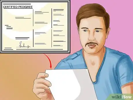 Image titled Identify a Welsh Springer Spaniel Step 11