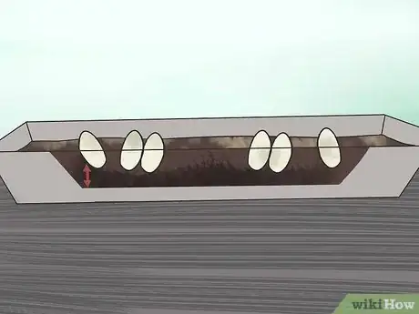 Image titled Take Care of Lizard Eggs Step 8