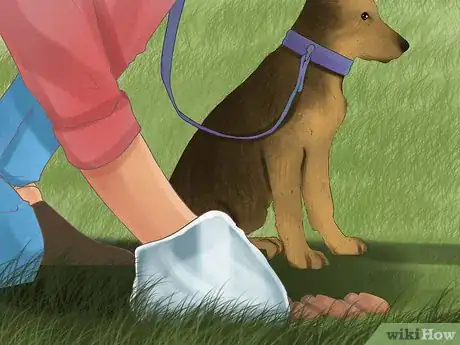 Image titled Take Pets on Beach Vacations Step 12