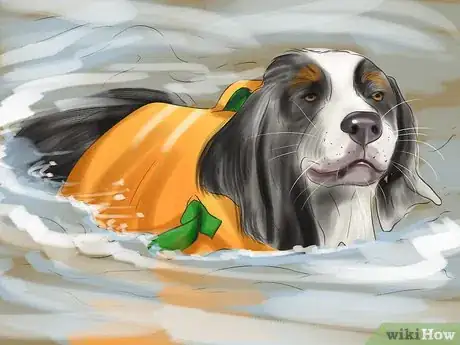 Image titled Tell if Your Older Dog Is over Exerting Itself Step 8