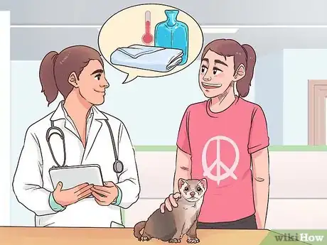 Image titled Get Your Ferret Spayed or Neutered Step 8