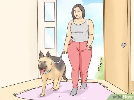 Image titled Adopt a German Shepherd Step 11