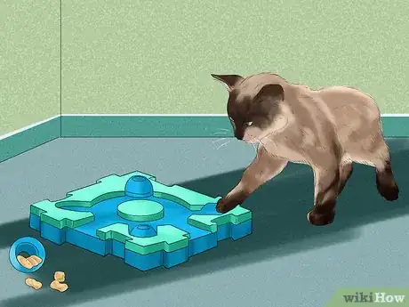 Image titled Prevent an Energetic Kitten from Hurting Itself Step 8