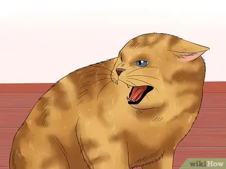 Image titled Get Your Cat to Stand Up Step 9