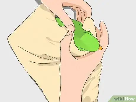 Image titled Groom Lories and Lorikeets Step 12