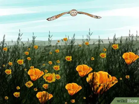 Image titled Attract Barn Owls Step 5