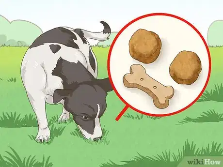 Image titled Manage Obesity in Senior Dogs Step 5