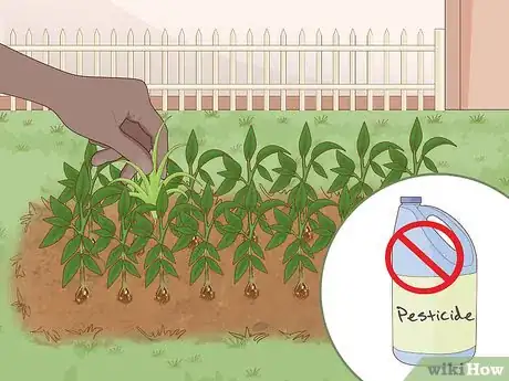 Image titled Help Protect Biodiversity Step 8