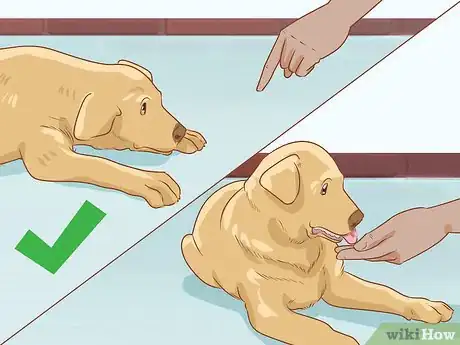 Image titled Teach Your Dog to Duck Step 9