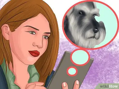 Image titled Adopt a Schnauzer Step 2