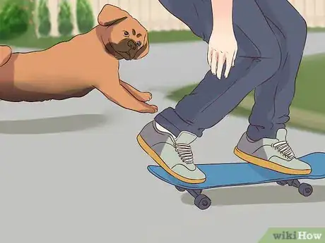 Image titled Exercise With Your Dog Step 16
