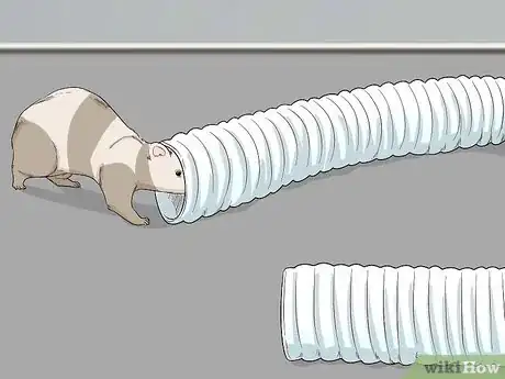 Image titled Choose Toys for Your Ferret Step 6